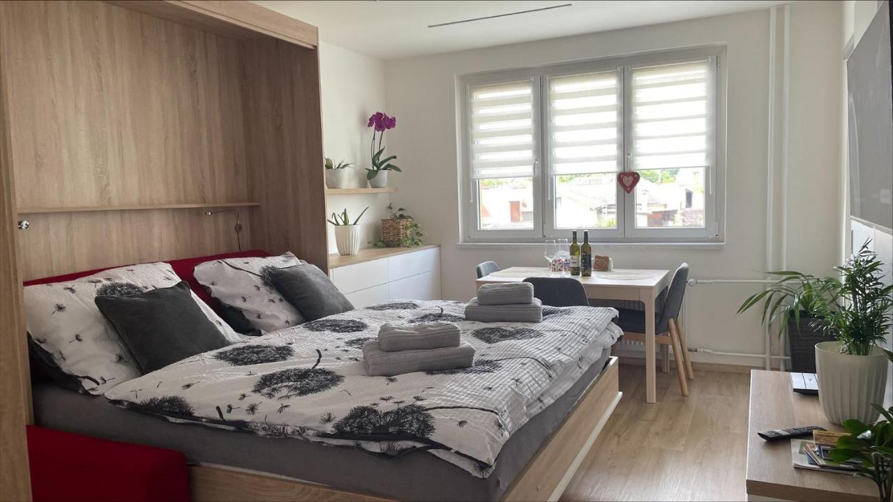 Apartman Na Zahradni 키요프 외부 사진